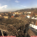14_20-nest.jpg