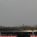 14_25-mast.jpg