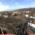 14_25-nest.jpg