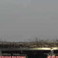 14_30-mast.jpg