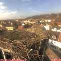 14_30-nest.jpg