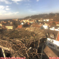 14_35-nest.jpg
