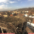 14_40-nest.jpg
