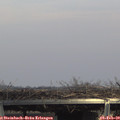 14_45-mast.jpg