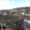 14_45-nest.jpg