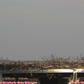 14_55-mast.jpg