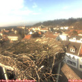 14_55-nest.jpg