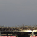15_00-mast.jpg