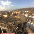 15_00-nest.jpg