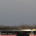 15_05-mast.jpg