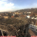 15_05-nest.jpg
