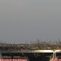 15_10-mast.jpg