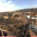 15_10-nest.jpg