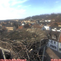 15_15-nest.jpg