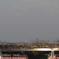 15_20-mast.jpg