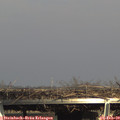 15_25-mast.jpg