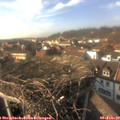 15_25-nest.jpg