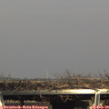 15_30-mast.jpg