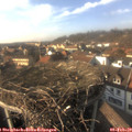 15_30-nest.jpg