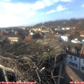 15_40-nest.jpg