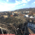 15_45-nest.jpg