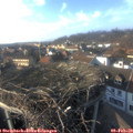 15_55-nest.jpg