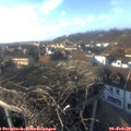 16_00-nest.jpg