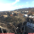 16_05-nest.jpg