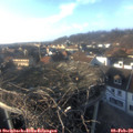 16_10-nest.jpg