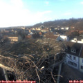16_25-nest.jpg