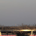16_35-mast.jpg