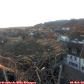 17_00-nest.jpg