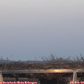 17_05-mast.jpg