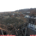 17_05-nest.jpg