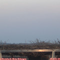 17_10-mast.jpg