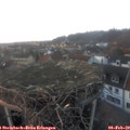 17_10-nest.jpg