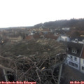 17_20-nest.jpg