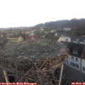 08_00-nest.jpg