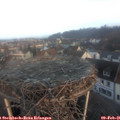 08_05-nest.jpg