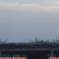 08_10-mast.jpg