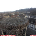 08_10-nest.jpg