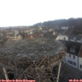 08_20-nest.jpg