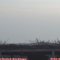 08_25-mast.jpg