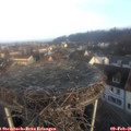08_25-nest.jpg