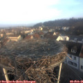 08_30-nest.jpg