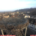 08_40-nest.jpg