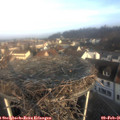 08_45-nest.jpg