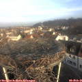 08_50-nest.jpg