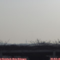08_55-mast.jpg