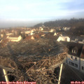 08_55-nest.jpg